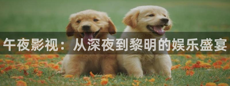 星空影视壁纸