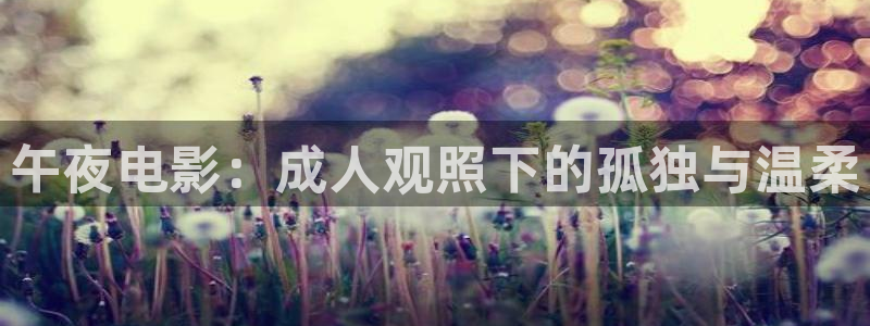 星空影视免费观看电视剧软件