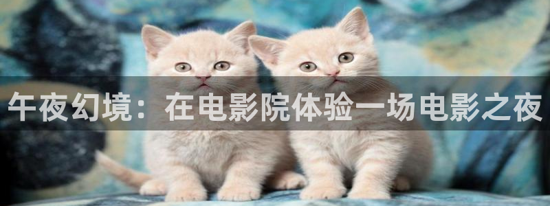 神马影院电视剧免费观看完整版高清在线