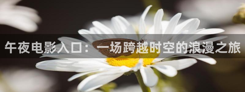 星空无限传媒观看