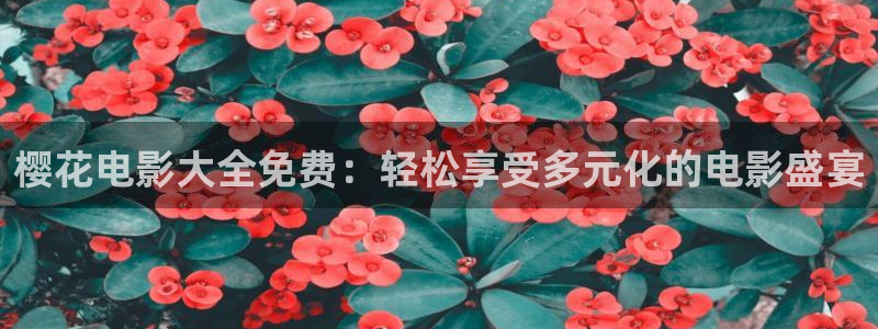 新生星空影视