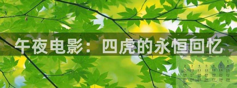 神马影院在线观看高清电影电视剧