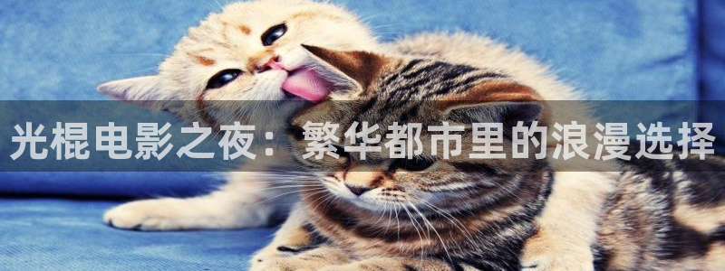 关于星空的视频