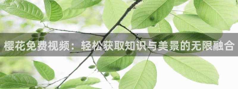 星空电影院免费观看