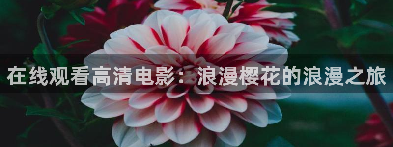 致命游戏神马影院免费观看