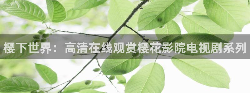星空无限电视剧免费观看策驰影院
