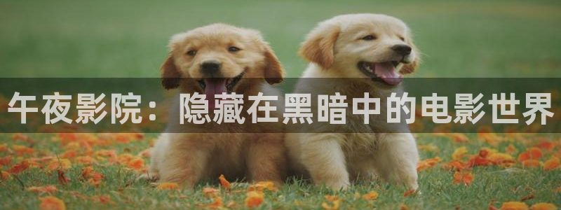 星空视频影视大全免费