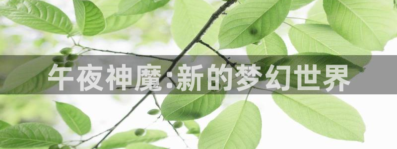 星空视频影视