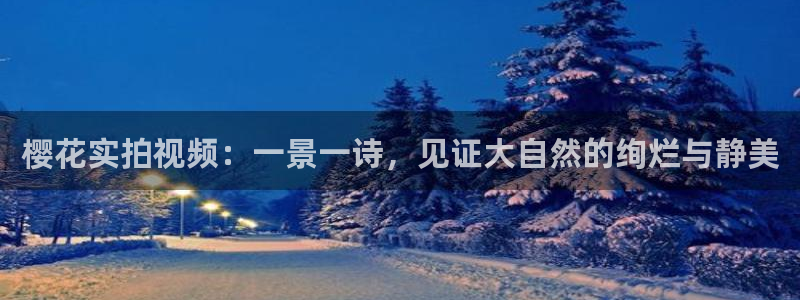 星空高清