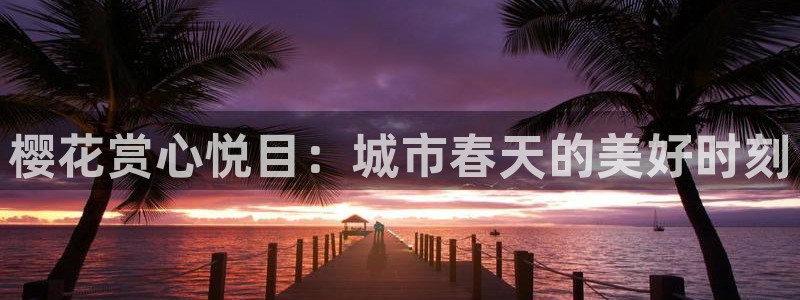 星空无限影视传媒