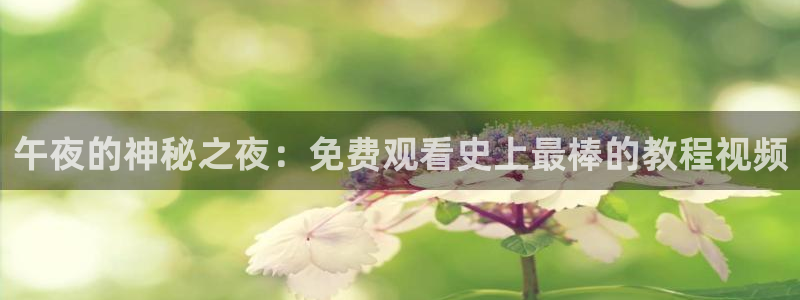 神马影院热门电视剧有哪些