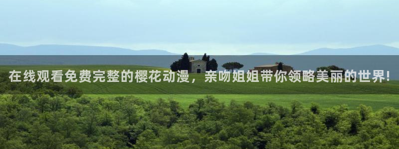星空无痕mv在线播放免费观看