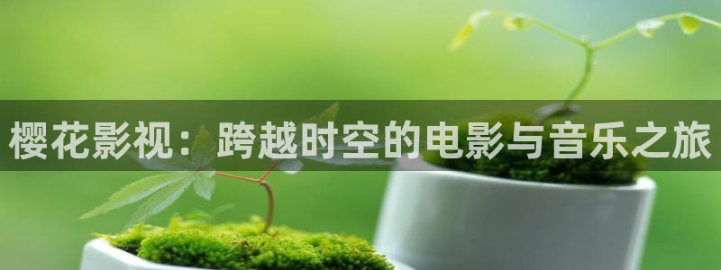 关于星空的画