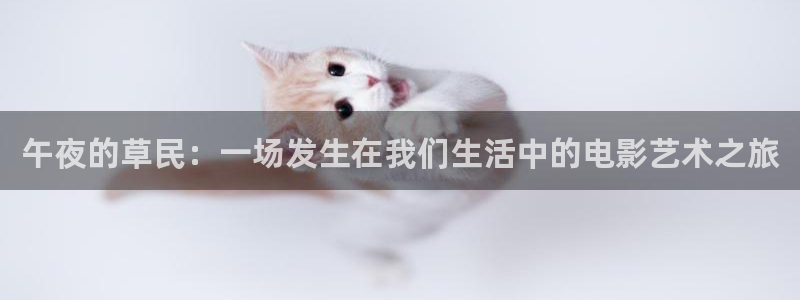 星空影视网站